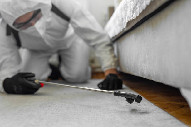 Professional Cockroach Control technician working in Plymouth, CA