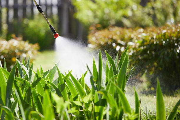 24/7 Emergency Cockroach Control experts in Plymouth, CA